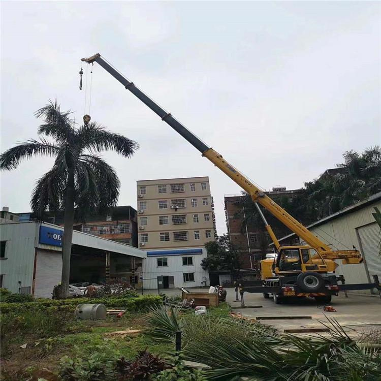 东兴吊车吊大树几种方法